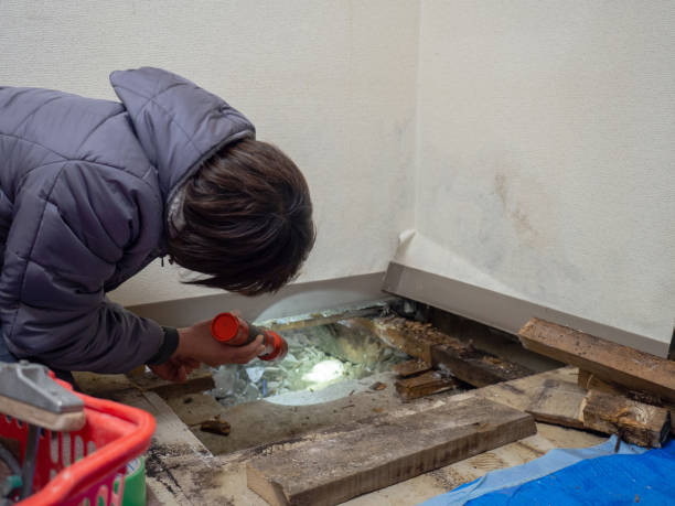 Best HVAC Mold Inspection and Cleaning  in Waurika, OK