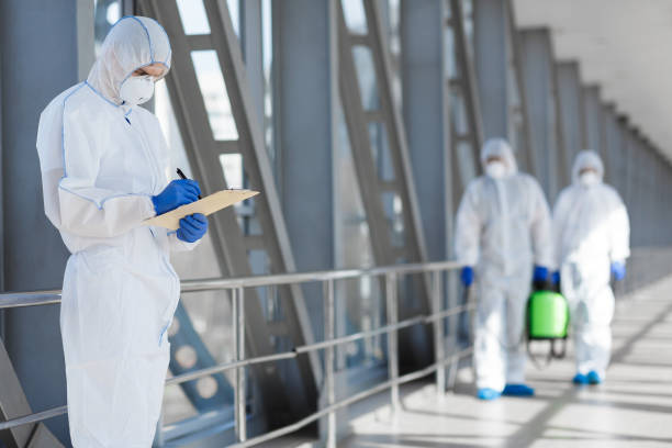 Best Basement Mold Removal  in Waurika, OK