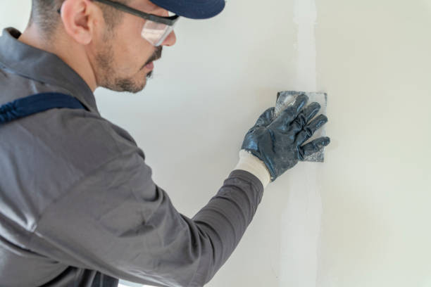 Reliable Waurika, OK Mold Removal Solutions