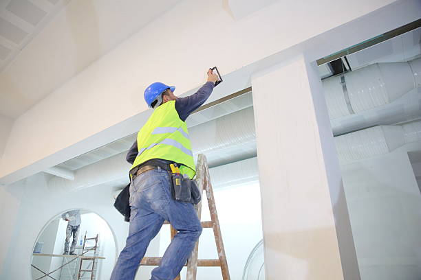 Best Mold Remediation for Rental Properties  in Waurika, OK