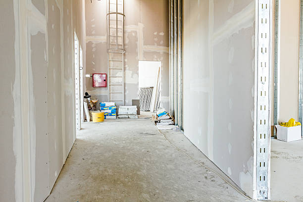 Best Commercial Mold Inspection  in Waurika, OK